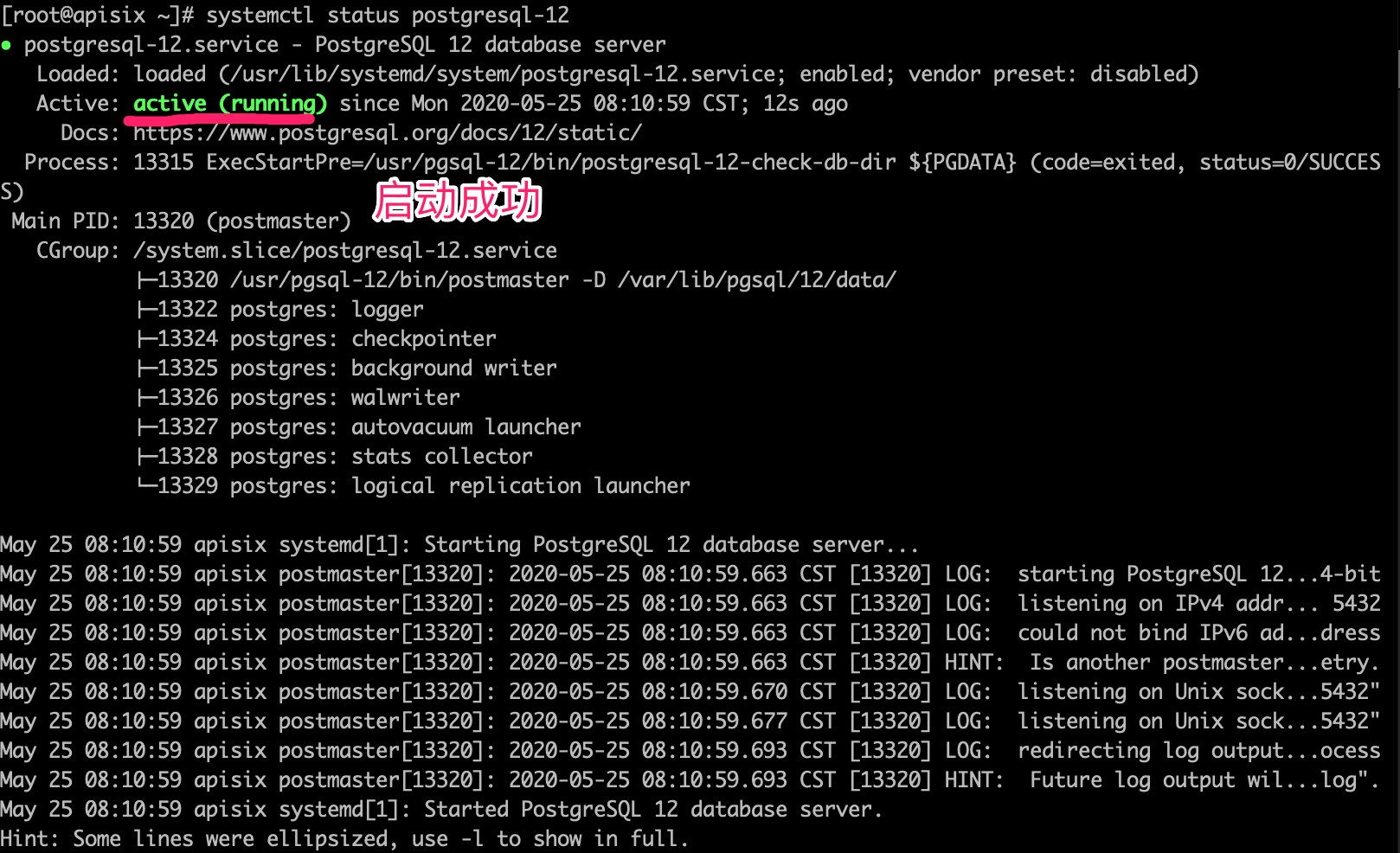 PostgreSQL 启动成功